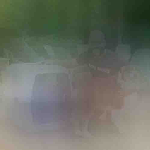 Man with pets
