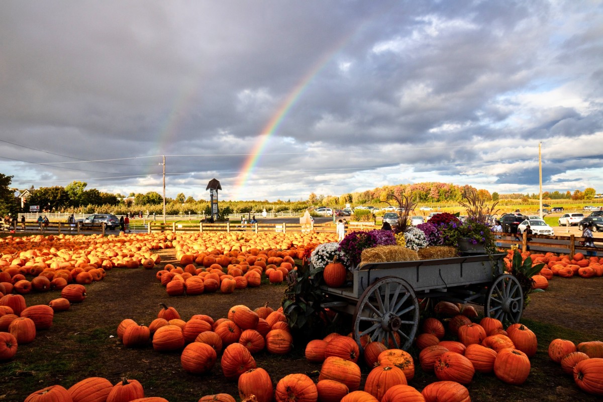 Celebrate Thanksgiving in Canada with gratitude and good food