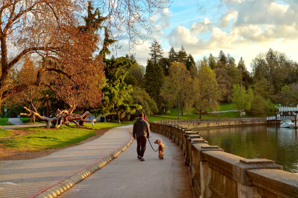 Best pet-friendly suburbs in Vancouver for you and your furry friends