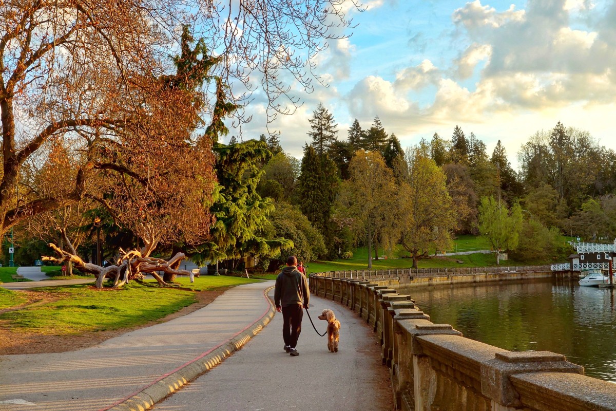 Your complete guide to pet insurance in Canada