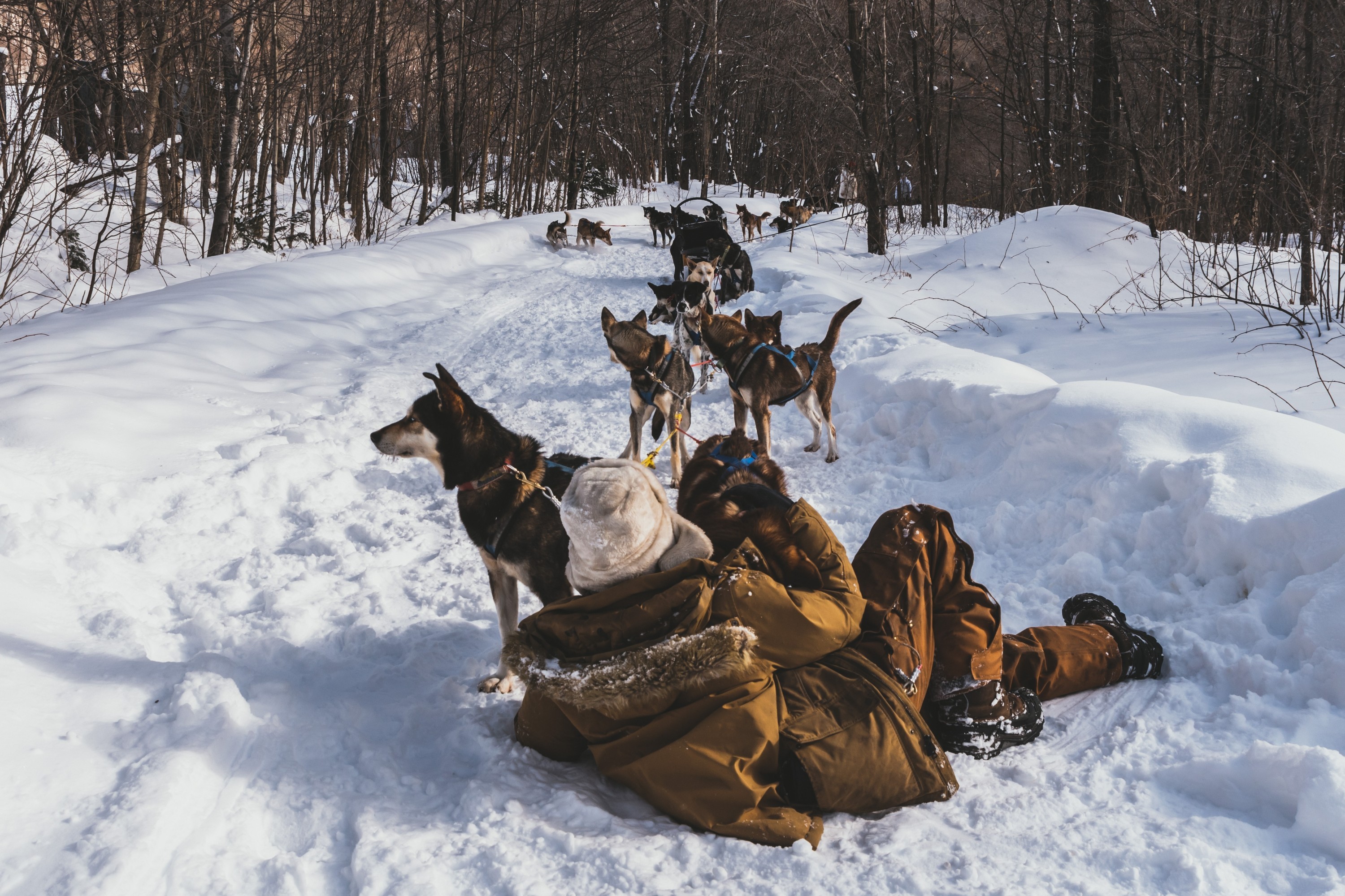 A guide to outdoor winter activities in Canada A guide to outdoor winter activities in Canada