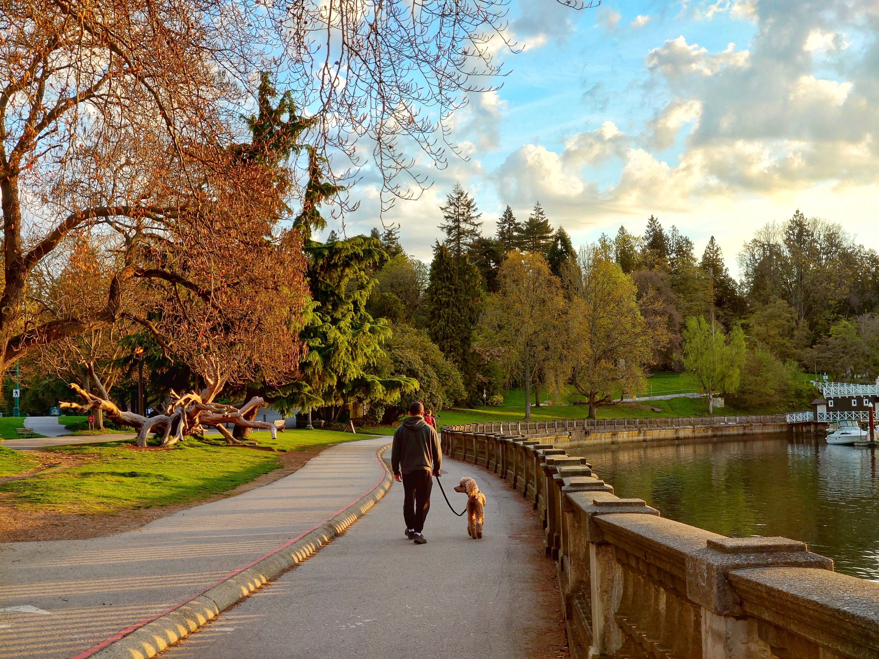 Your complete guide to pet insurance in Canada