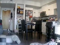 1 bedroom apartment move