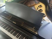 Heintzmann & Co. Baby Grand circa 1925 piano