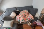 Double bed, Tv stand, Tv, 5 boxes, Bedframe, 2 rugs, Side board, Micro...