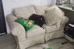 2 bedroom apartment move