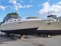 Motor boat wellcraft 3600 Martinique