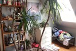 Single bed,2 dresser 3 wood stands , 2 chairs, 2table, roughly 8 boxs ...