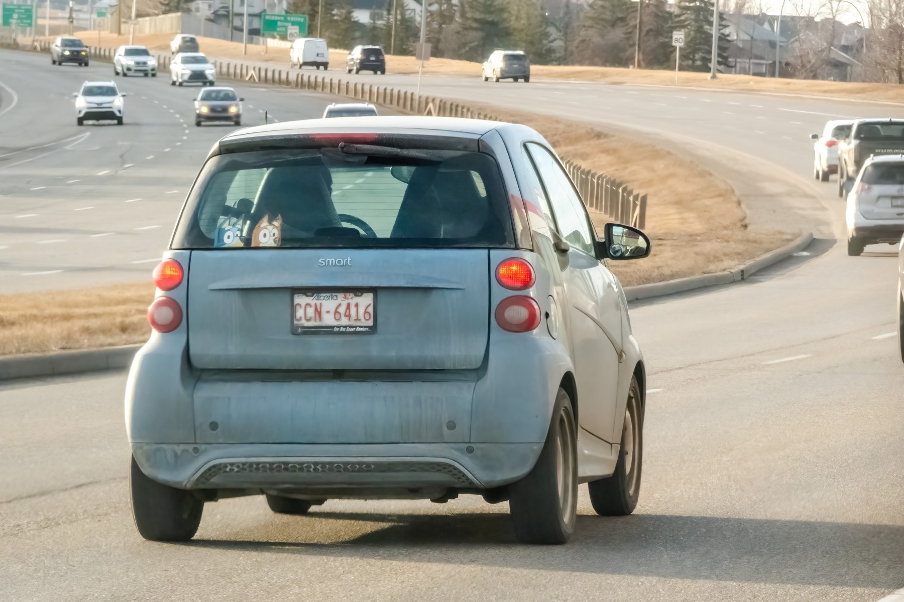 Traffic in Calgary