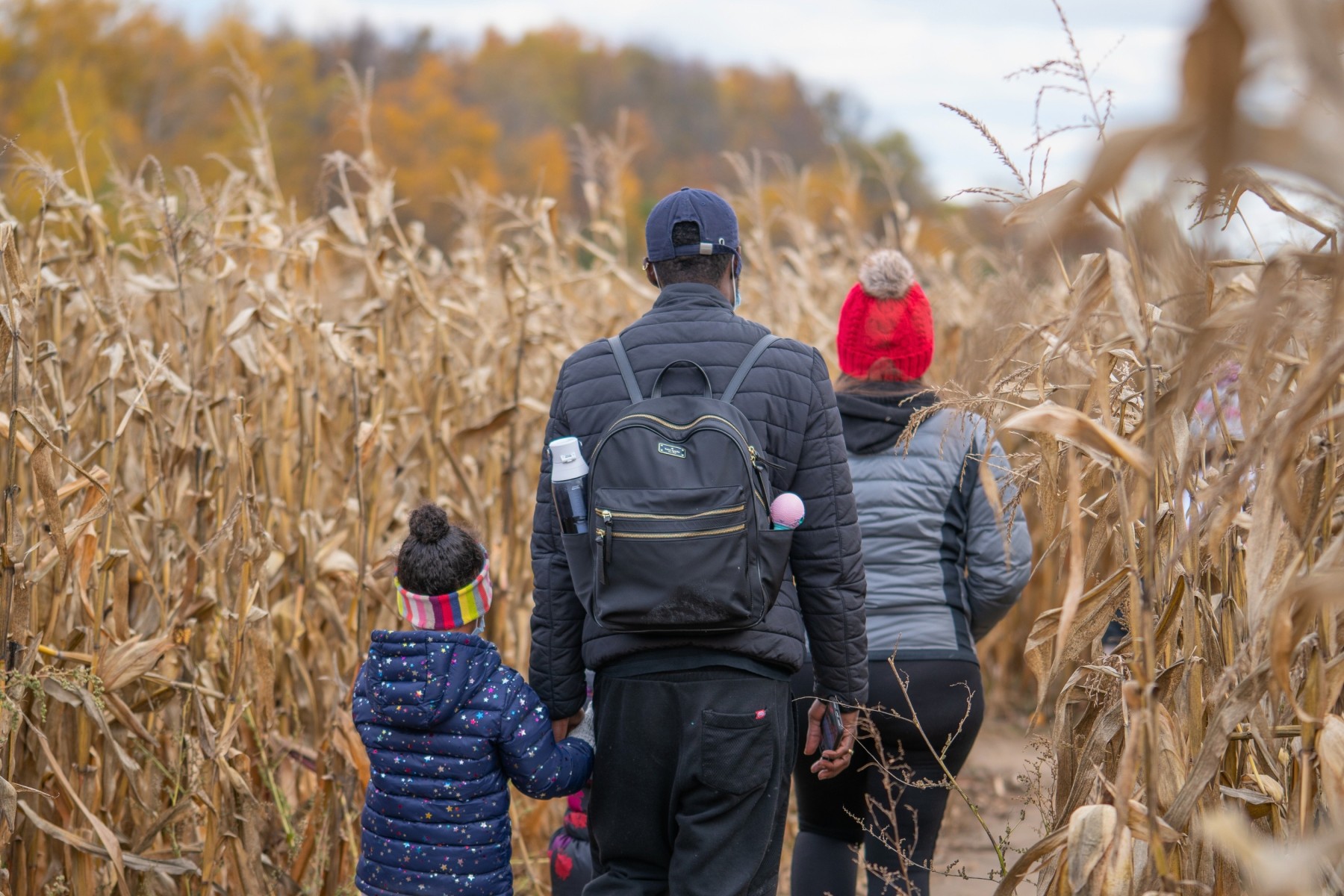 Family celebrating Thanksgiving in Canada with trip to a corn maze
