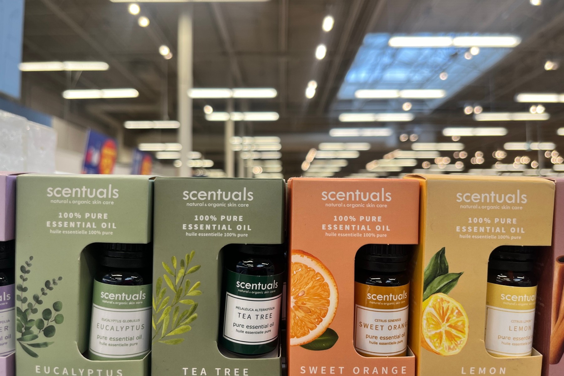 Using essential oils for cleaning Canada