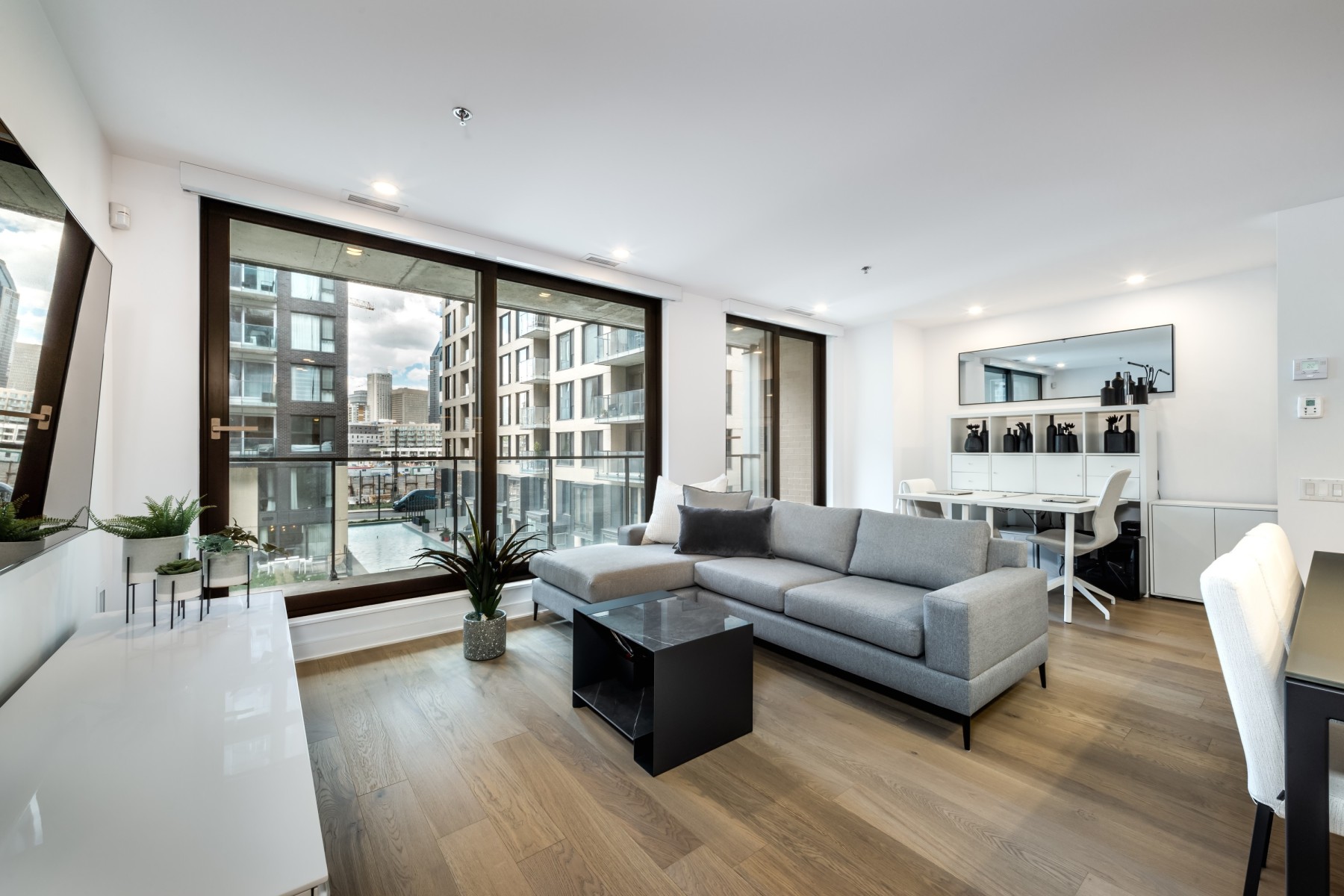 Plants in home feng shui