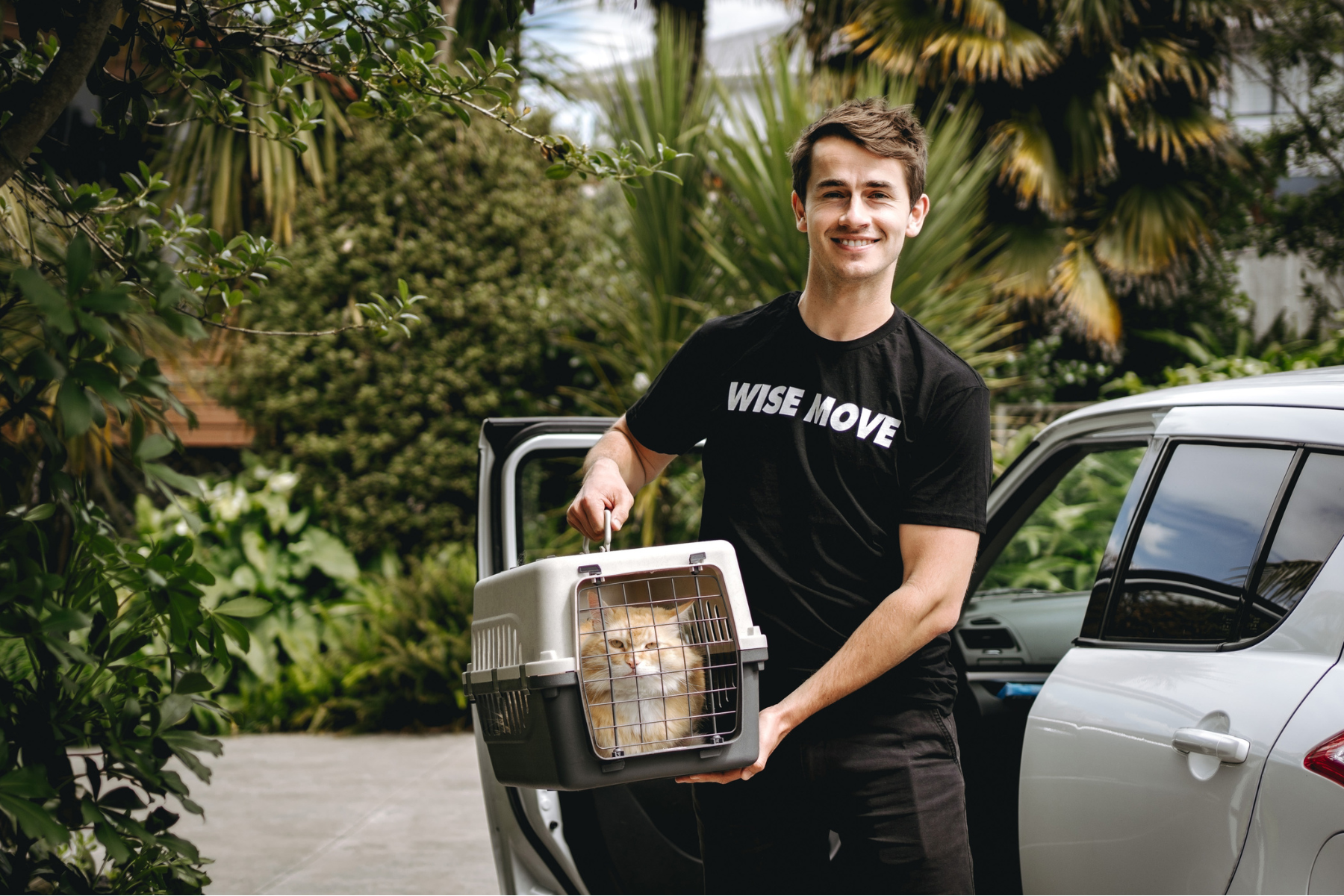 Professional pet transport service team carrying a cat in a carrier for transport