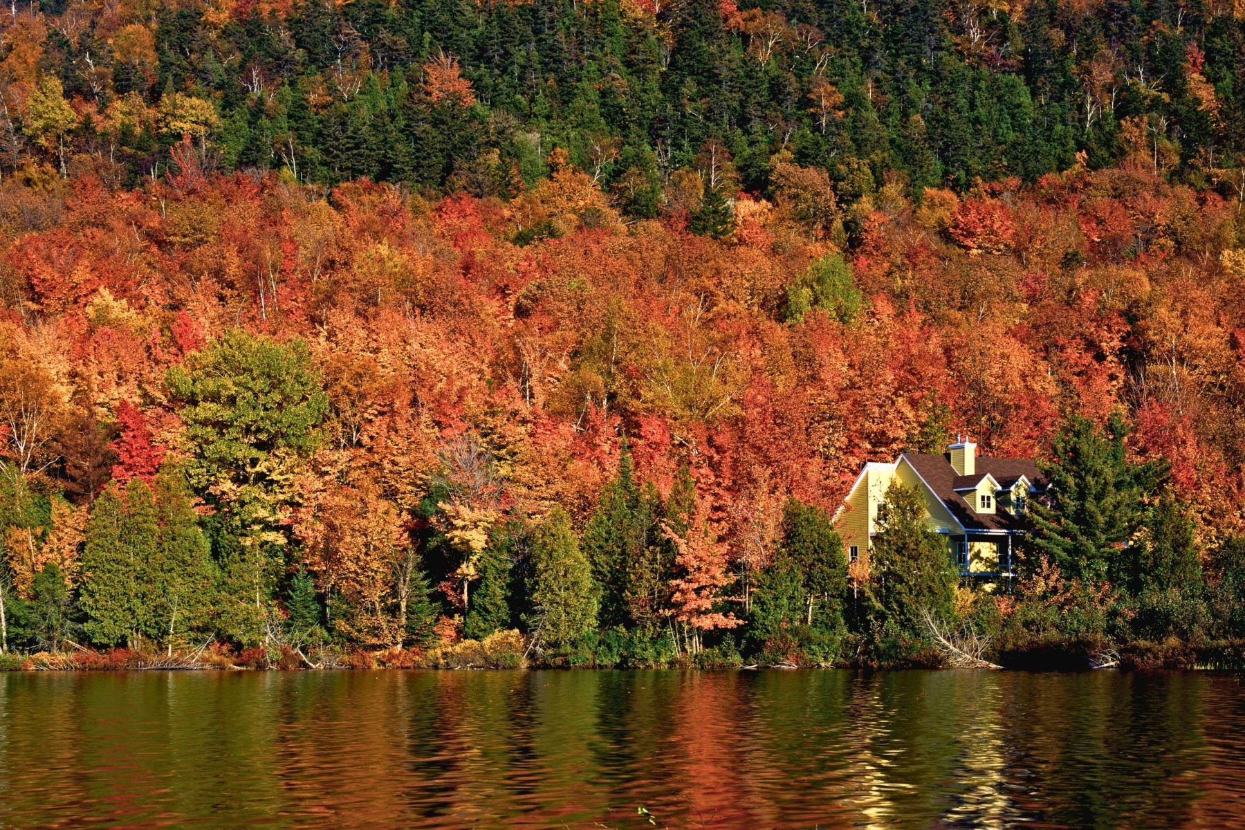 Family getaway to cottage to celebrate Thanksgiving weekend