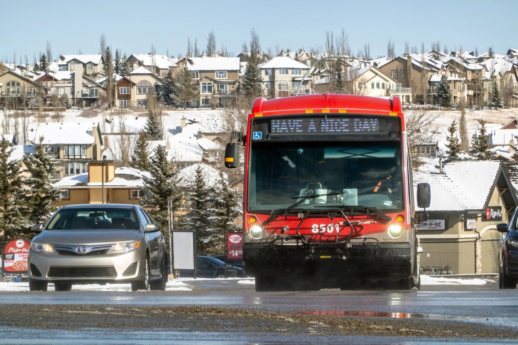 Calgary city bus