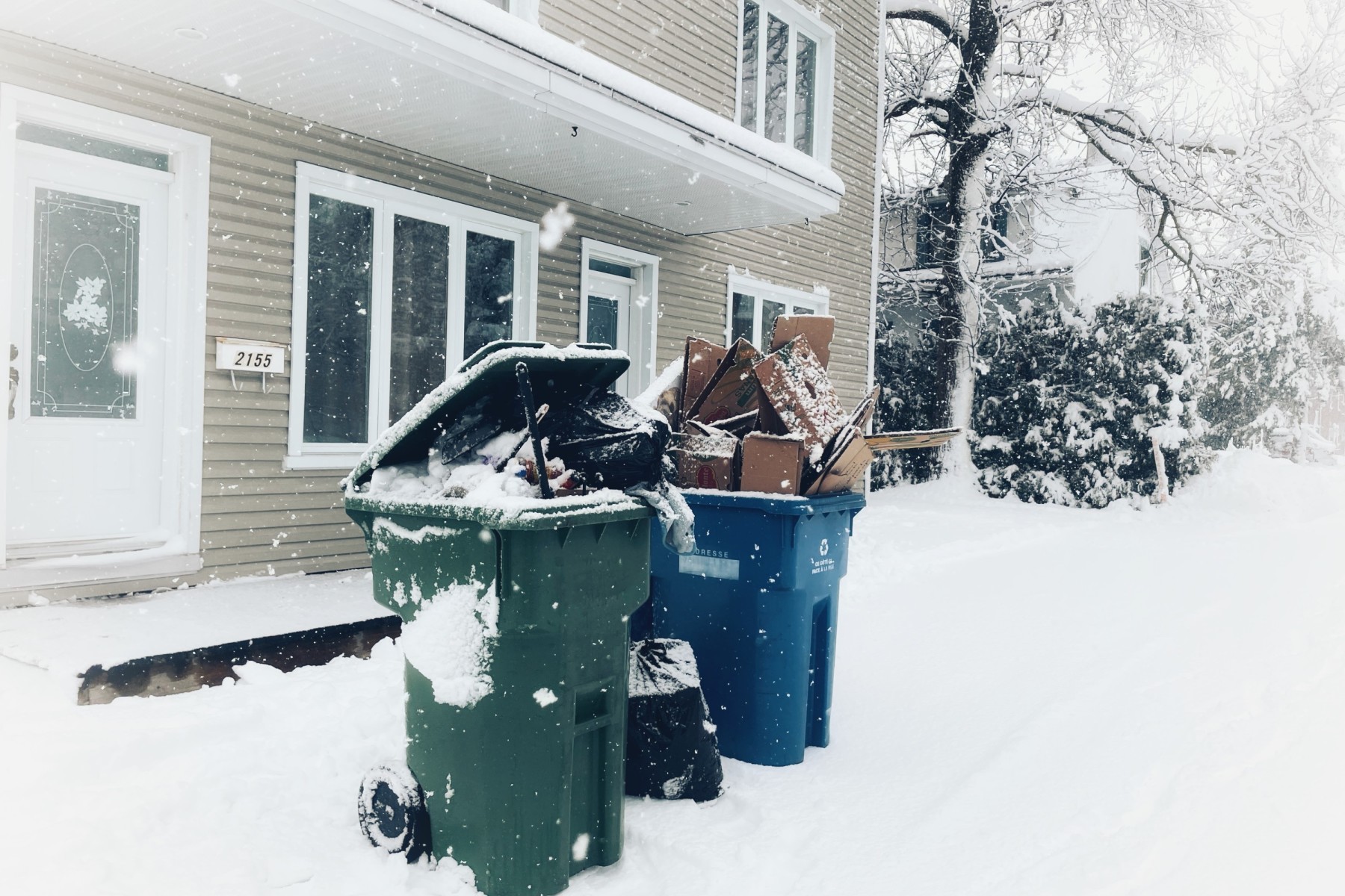 Moving Day in Quebec WInter