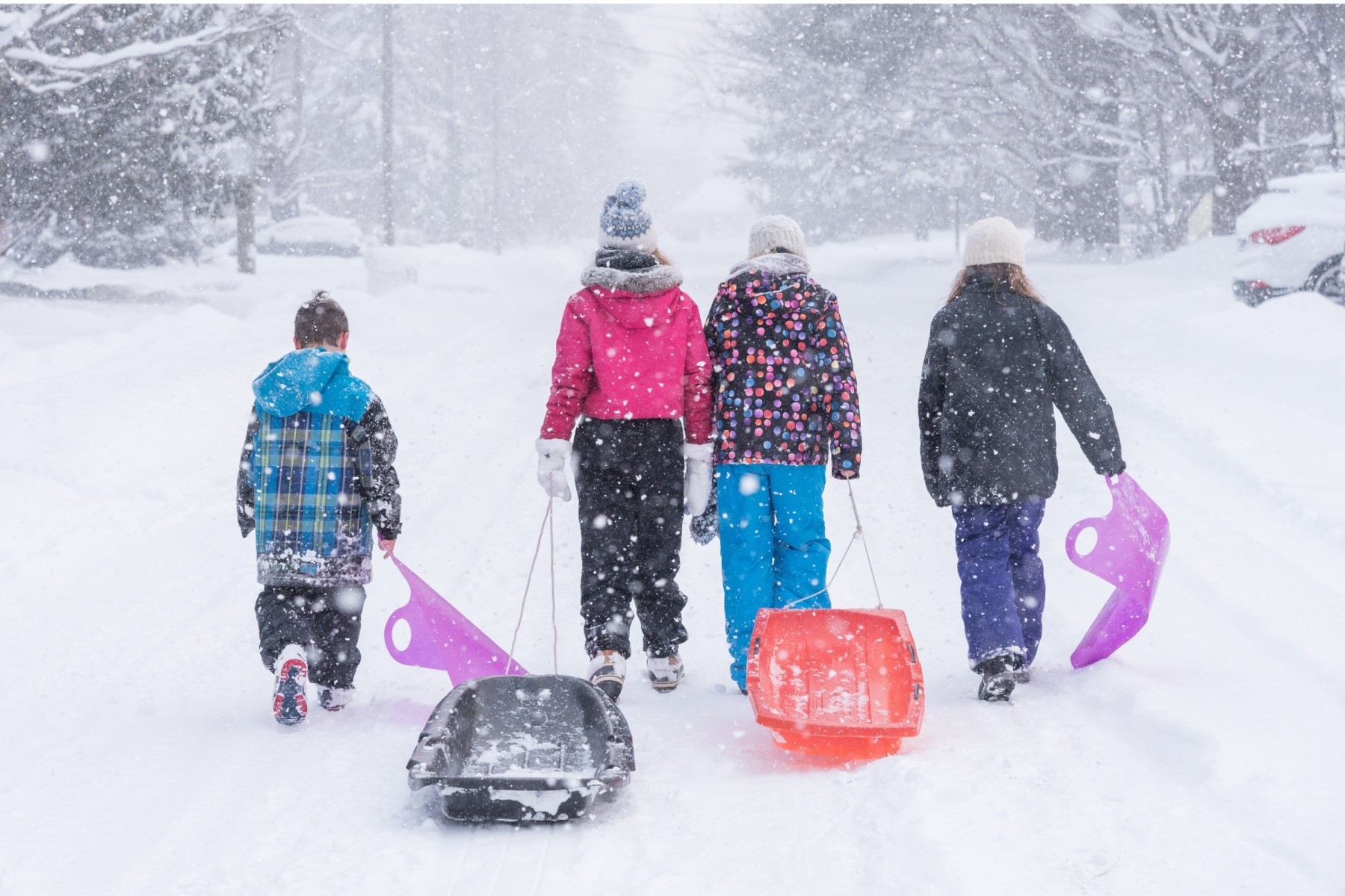 Winter Tobogganing Canada