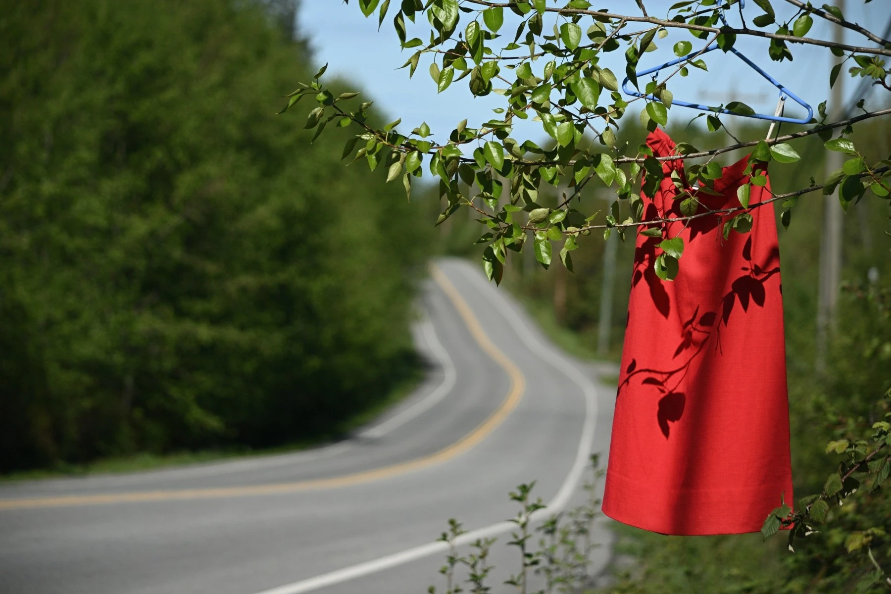Red Dress Canada