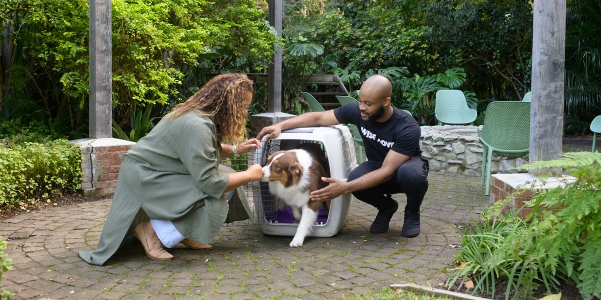 Pet transport services across Canada