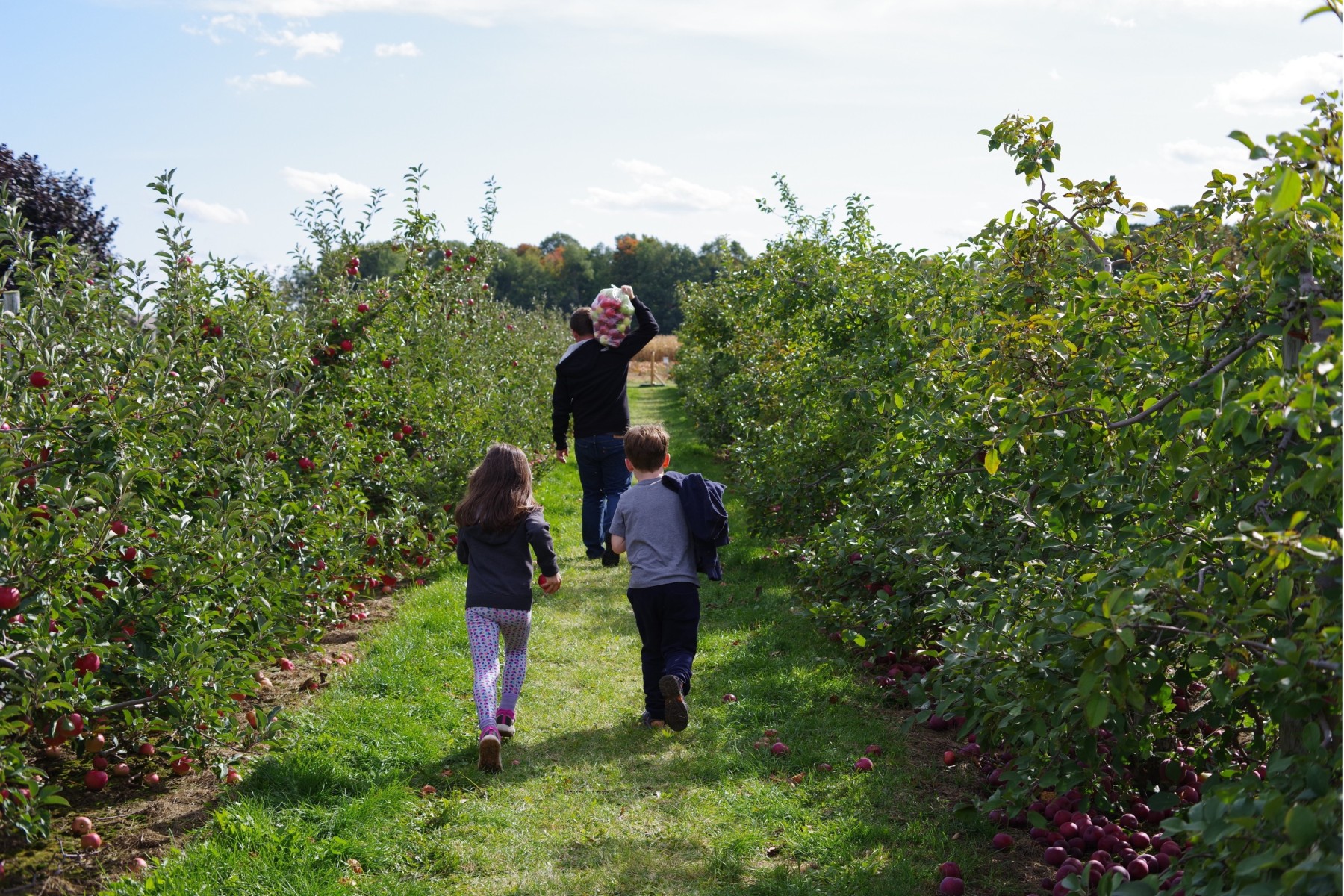 Apple picking with family to celebrate Canadian Thanksgiving