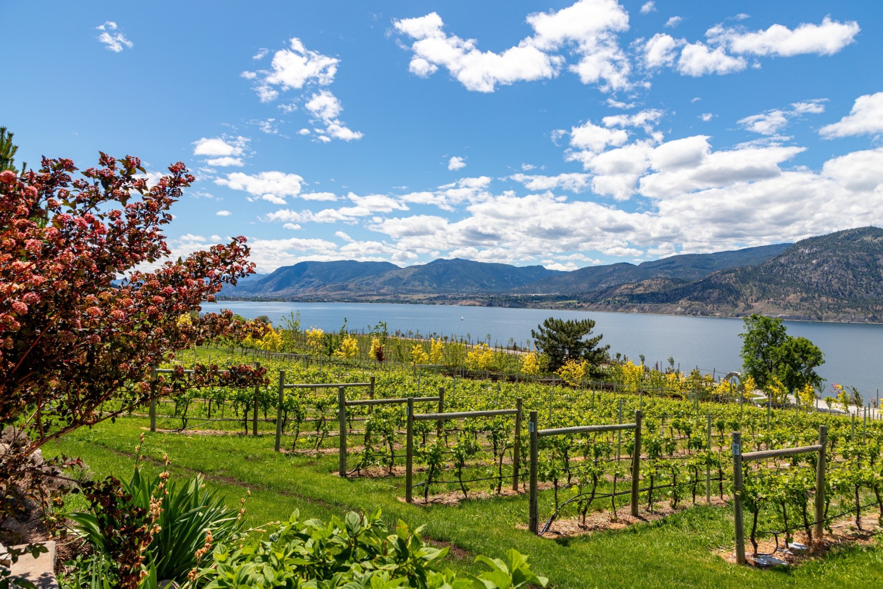 Summer break in Okanagan