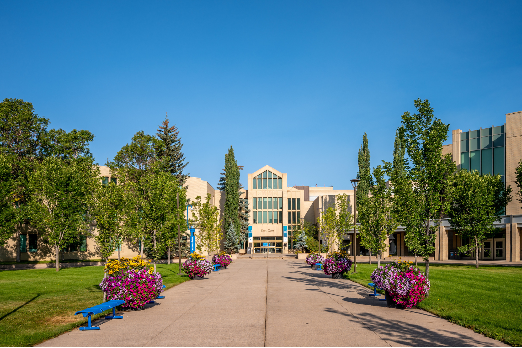 Buildings on the campus of Mount Royal University in Calgary, Alberta